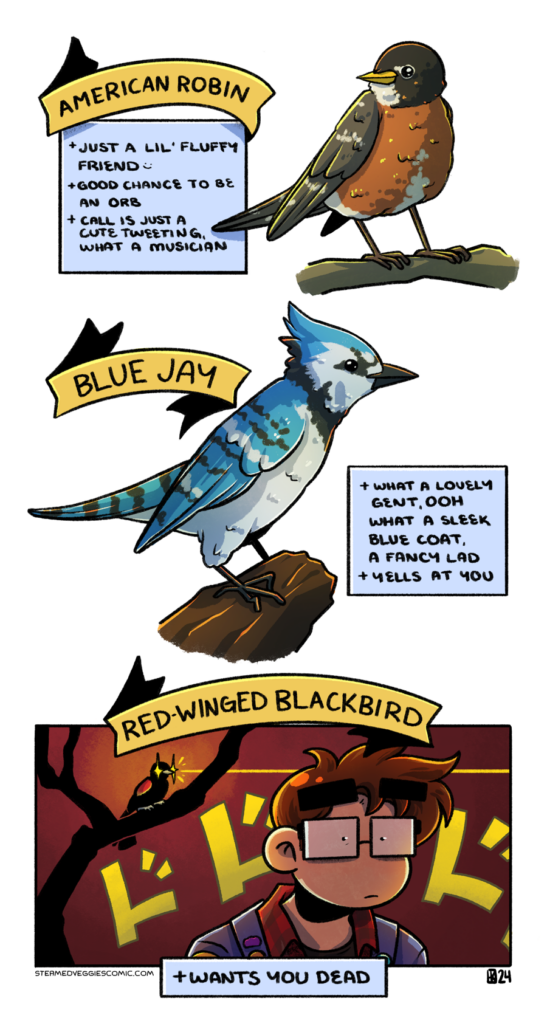 A full color, three panel comic. The first two panels depict birds, an American Robin and Blue Jay, almost presented as if it's a field guide. The first box describes the Robin with points like "Just a fluffy little friend," "good chance to be an orb," and "call is just a cute tweeting, what a musician." The second box describes the Blue Jay with points like "what a lovely gent, ooh what a sleek blue coat, a fancy lad," and "yells at you." The third panel is labeled "Red winged blackbird," and depicts a tree in the distance with a single bird in it, its eyes lit up and murderous. Emily stands in the foreground as the Jojo's Bizarre Adventure Dio sound effect floats behind her, sensing the coming danger. The bird is described with just the point of "wants you dead."